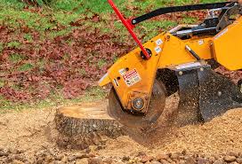 Best Lawn Disease Treatment  in Mountain View Acres, CA