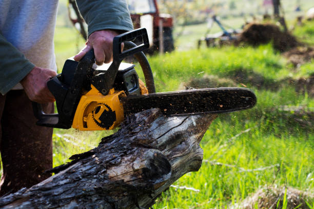 Best Emergency Tree Removal  in Mountain View Acres, CA